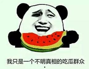 吃瓜吗,吃瓜群众视角下的娱乐圈风云