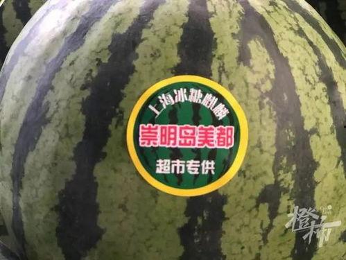 吃瓜数字是什么,网络热词背后的文化现象