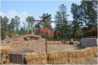 团队吃瓜群众游戏,揭秘游戏背后的欢乐与智慧