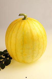 吃瓜拍照图片高清