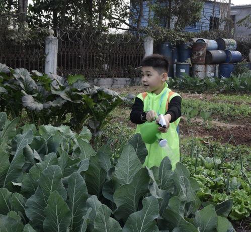 天气模式吃瓜群众,吃瓜群众乐享夏日清凉