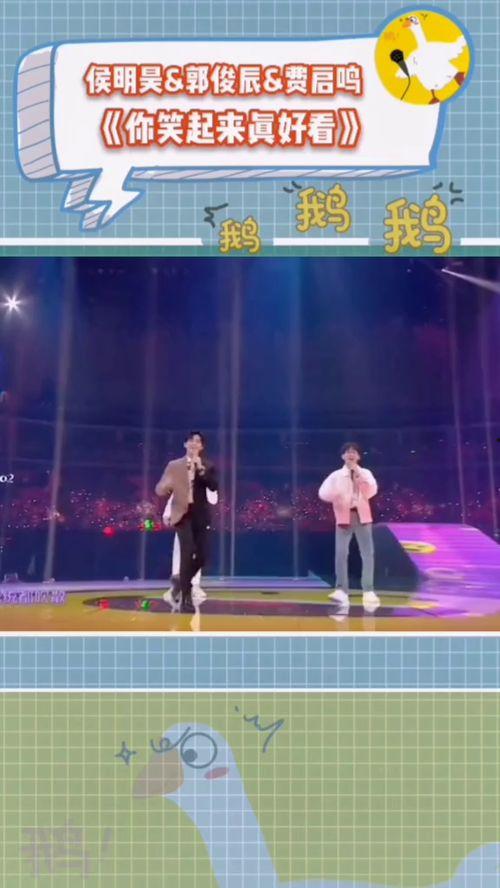 综艺吃瓜鹅王牌,揭秘娱乐圈幕后故事