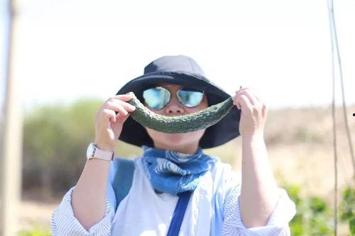 眼中的吃瓜视频,揭秘吃瓜群众背后的娱乐真相