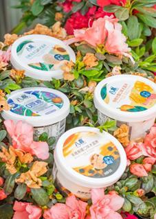 吃瓜雪糕团购,吃瓜雪糕团购狂欢来袭！