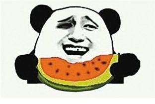 吃瓜喂牲口,探寻传统农耕文化的智慧与传承