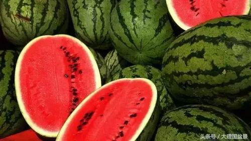 雪落吃瓜二皇子的瓜,揭秘宫廷秘闻背后的真相