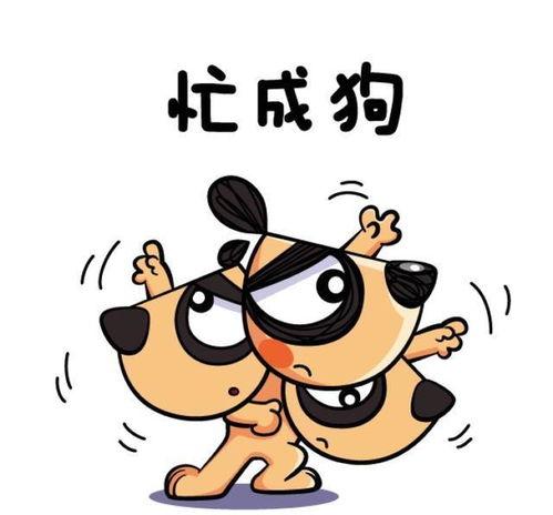 不爱干活只会吃瓜