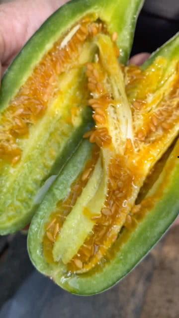 华县吃瓜视频,揭秘当地特色美食与风土人情