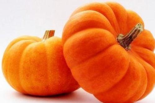 大瓜吃小瓜什么意思,揭示生态链中的生存法则