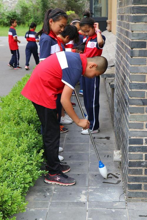仰望星空吃瓜群,揭秘“仰望星空吃瓜群”的趣味生活