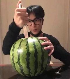 吃瓜带浴帽,揭秘网络热词背后的趣味与智慧