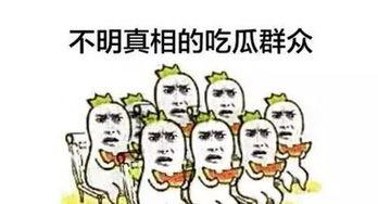 默默刷屏吃瓜群众,揭秘网络热议背后的真实故事