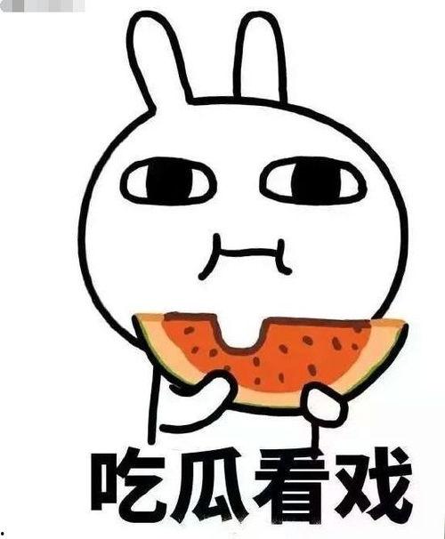 吃瓜指什么生肖.