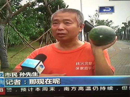 吃瓜网热门事件武汉,最新热门事件盘点