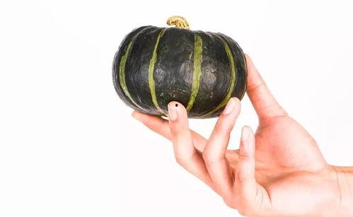 做小瓜给孩子吃,小瓜营养食谱，呵护孩子健康成长