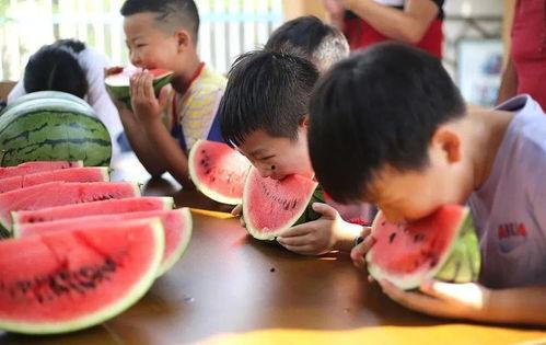 吃瓜小镇,揭秘神秘小城的瓜香传奇