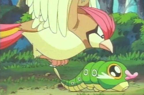 黄梅妖怪吃瓜,一场跨越时空的奇幻食旅