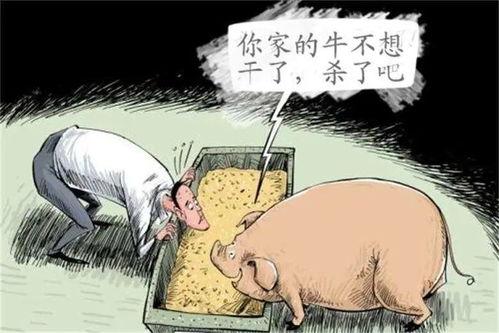 吃瓜说闲话,揭秘娱乐圈背后的八卦风云