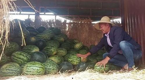 昆明吃瓜国贸,吃瓜群众的美食聚集地探秘