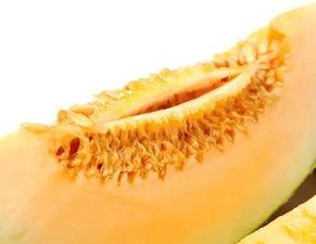楼兰蜜瓜怎样吃