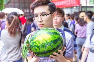 吃瓜大课堂,揭秘娱乐圈幕后真相与趣味故事