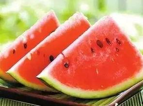 南宁公园吃瓜事件,一场吃瓜引发的争议与反思