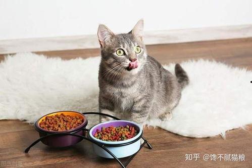 芋猫猫吃瓜,揭秘娱乐圈那些不为人知的幕后故事