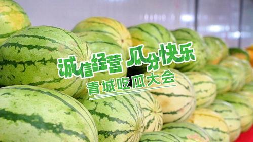 欢乐吃瓜组