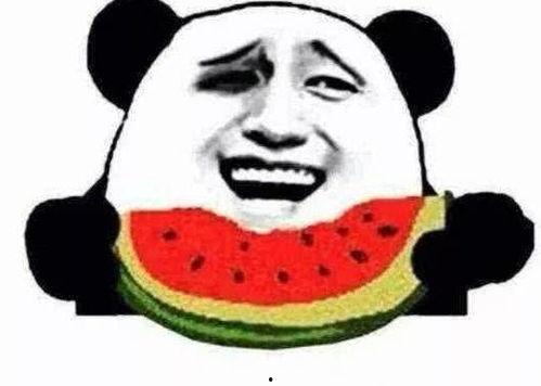 吃瓜家人